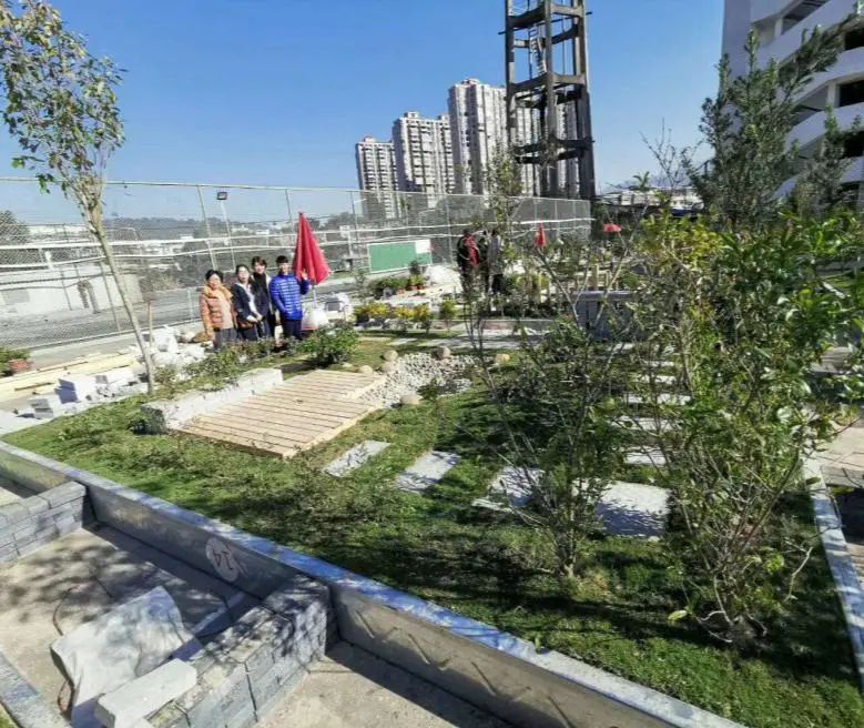 27.jpg 27.jpg